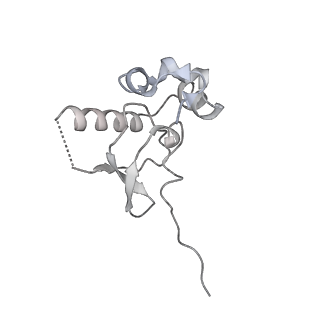 29495_8fvy_P_v1-1
40S subunit of the Giardia lamblia 80S ribosome