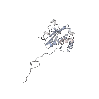 29495_8fvy_Q_v1-1
40S subunit of the Giardia lamblia 80S ribosome