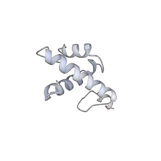 29495_8fvy_R_v1-1
40S subunit of the Giardia lamblia 80S ribosome