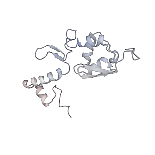 29495_8fvy_S_v1-1
40S subunit of the Giardia lamblia 80S ribosome
