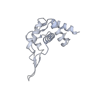 29495_8fvy_T_v1-1
40S subunit of the Giardia lamblia 80S ribosome