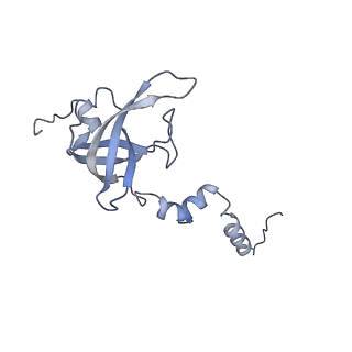 29495_8fvy_X_v1-1
40S subunit of the Giardia lamblia 80S ribosome