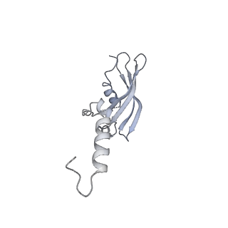29495_8fvy_Y_v1-1
40S subunit of the Giardia lamblia 80S ribosome