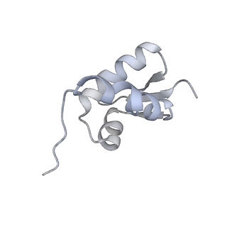 29495_8fvy_Z_v1-1
40S subunit of the Giardia lamblia 80S ribosome