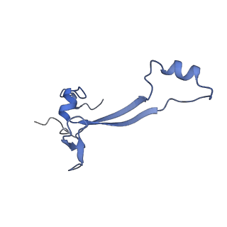 29495_8fvy_a_v1-1
40S subunit of the Giardia lamblia 80S ribosome