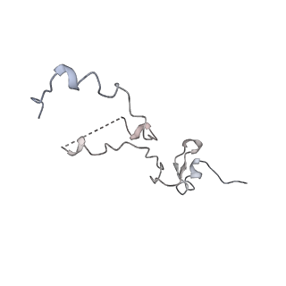 29495_8fvy_d_v1-1
40S subunit of the Giardia lamblia 80S ribosome