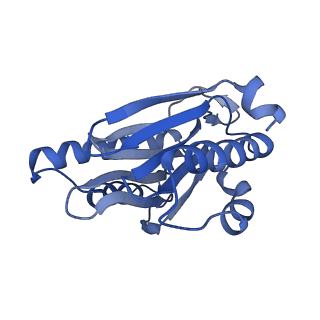 3534_6fvt_1_v1-0
26S proteasome, s1 state
