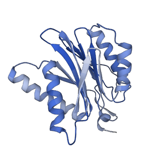 3534_6fvt_3_v1-0
26S proteasome, s1 state
