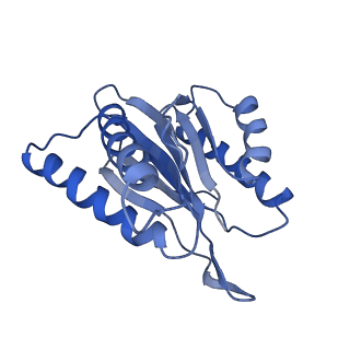 3534_6fvt_4_v1-0
26S proteasome, s1 state
