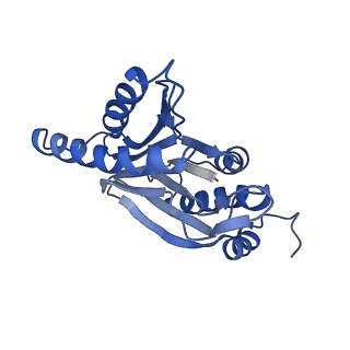 3534_6fvt_5_v1-0
26S proteasome, s1 state