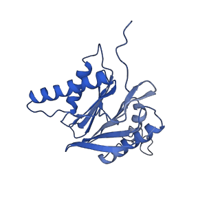 3534_6fvt_6_v1-0
26S proteasome, s1 state