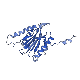 3534_6fvt_7_v1-0
26S proteasome, s1 state