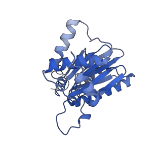 3534_6fvt_A_v1-0
26S proteasome, s1 state