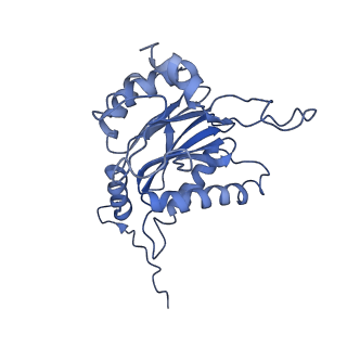 3534_6fvt_B_v1-0
26S proteasome, s1 state