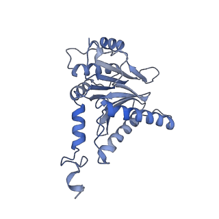 3534_6fvt_C_v1-0
26S proteasome, s1 state