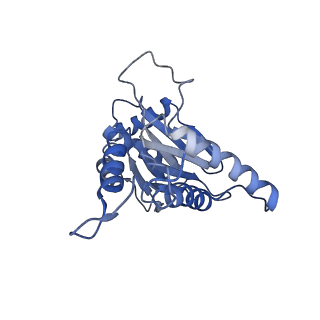 3534_6fvt_D_v1-0
26S proteasome, s1 state