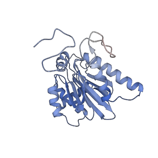 3534_6fvt_E_v1-0
26S proteasome, s1 state