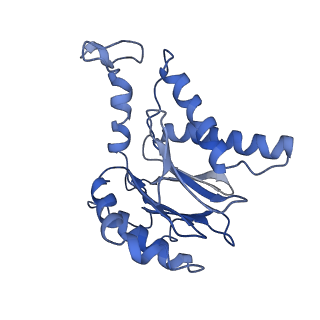 3534_6fvt_F_v1-0
26S proteasome, s1 state