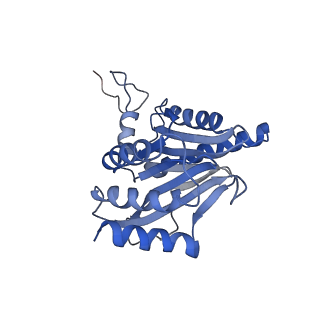 3534_6fvt_G_v1-0
26S proteasome, s1 state