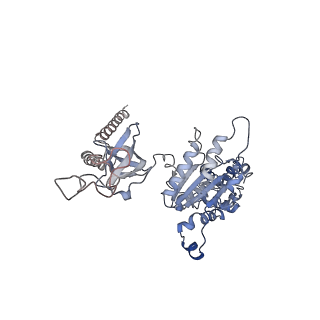 3534_6fvt_H_v1-0
26S proteasome, s1 state
