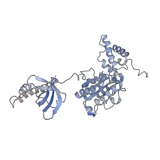 3534_6fvt_I_v1-0
26S proteasome, s1 state