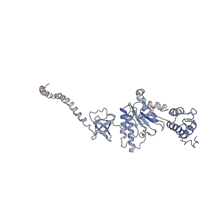 3534_6fvt_K_v1-0
26S proteasome, s1 state