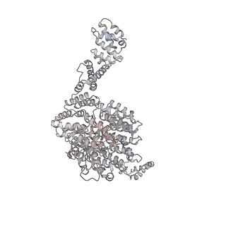 3534_6fvt_N_v1-0
26S proteasome, s1 state