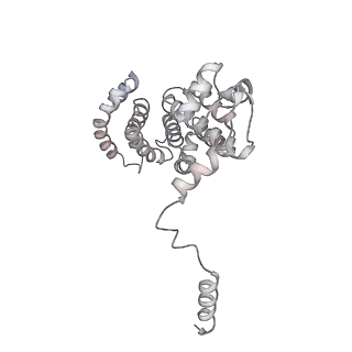 3534_6fvt_T_v1-0
26S proteasome, s1 state