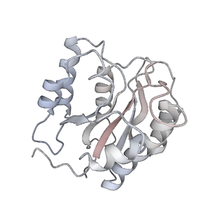 3534_6fvt_W_v1-0
26S proteasome, s1 state