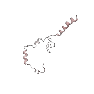 3534_6fvt_Y_v1-0
26S proteasome, s1 state