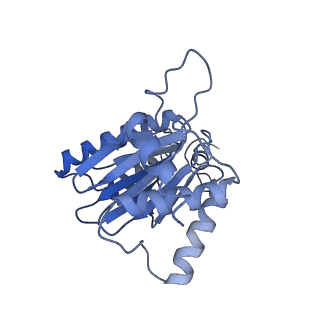 3534_6fvt_a_v1-0
26S proteasome, s1 state