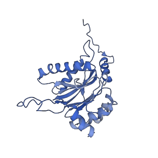 3534_6fvt_b_v1-0
26S proteasome, s1 state