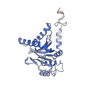 3534_6fvt_c_v1-0
26S proteasome, s1 state