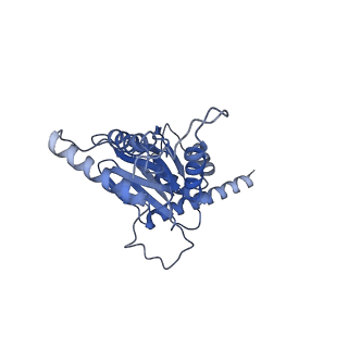 3534_6fvt_d_v1-0
26S proteasome, s1 state