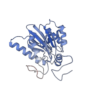 3534_6fvt_e_v1-0
26S proteasome, s1 state