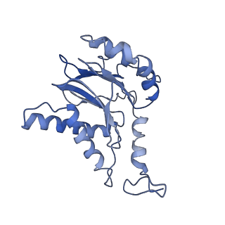 3534_6fvt_f_v1-0
26S proteasome, s1 state