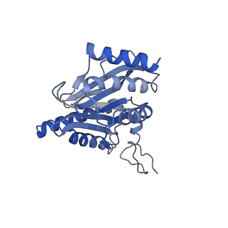 3534_6fvt_g_v1-0
26S proteasome, s1 state