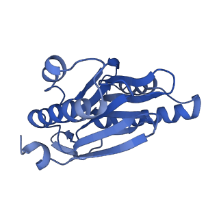3534_6fvt_h_v1-0
26S proteasome, s1 state
