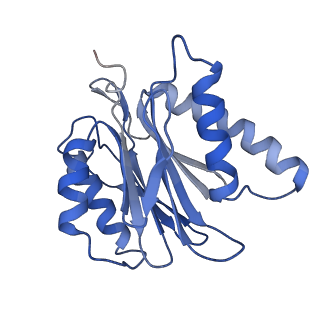 3534_6fvt_j_v1-0
26S proteasome, s1 state