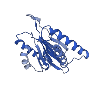 3534_6fvt_k_v1-0
26S proteasome, s1 state