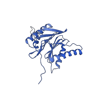 3534_6fvt_m_v1-0
26S proteasome, s1 state