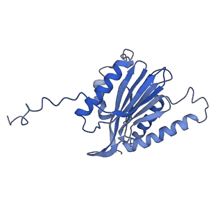 3534_6fvt_n_v1-0
26S proteasome, s1 state