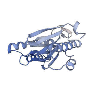 4322_6fvw_1_v1-1
26S proteasome, s4 state