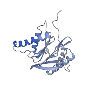 4322_6fvw_6_v1-1
26S proteasome, s4 state