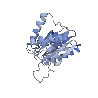 4322_6fvw_A_v1-1
26S proteasome, s4 state