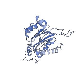 4322_6fvw_B_v1-1
26S proteasome, s4 state