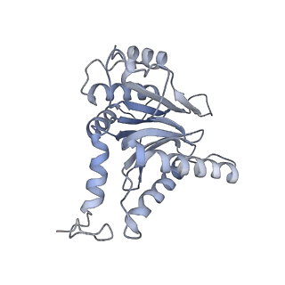 4322_6fvw_C_v1-1
26S proteasome, s4 state