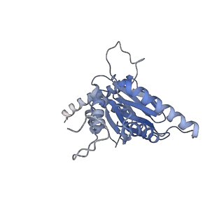 4322_6fvw_D_v1-1
26S proteasome, s4 state