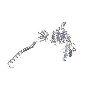 4322_6fvw_L_v1-1
26S proteasome, s4 state