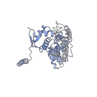 4322_6fvw_R_v1-1
26S proteasome, s4 state